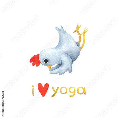 Funny white chicken in yoga poses. Shal Shalabhasana (locust pose) and the text 