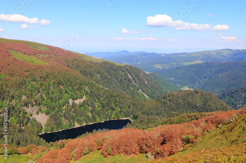 Le lac d'Altenweiher dans les Vosges en Alsace photo