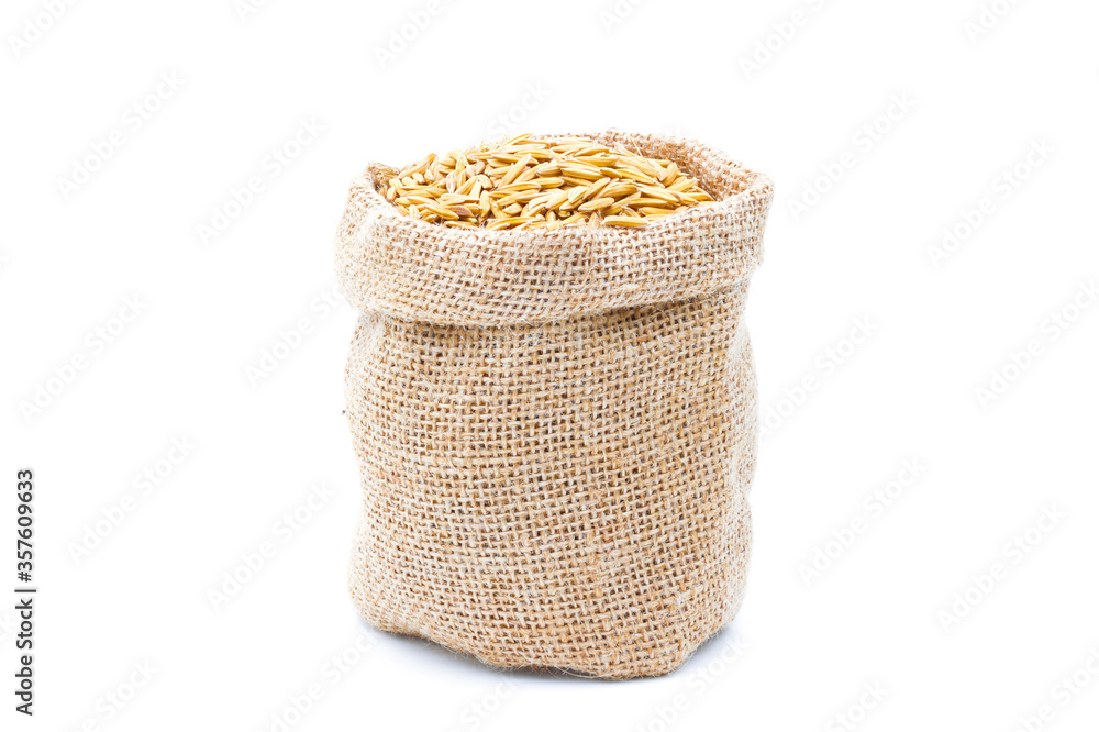 Rice of paddy Golden yellow in a sack on a white background Rice of paddy Golden yellow in a sack on a white background