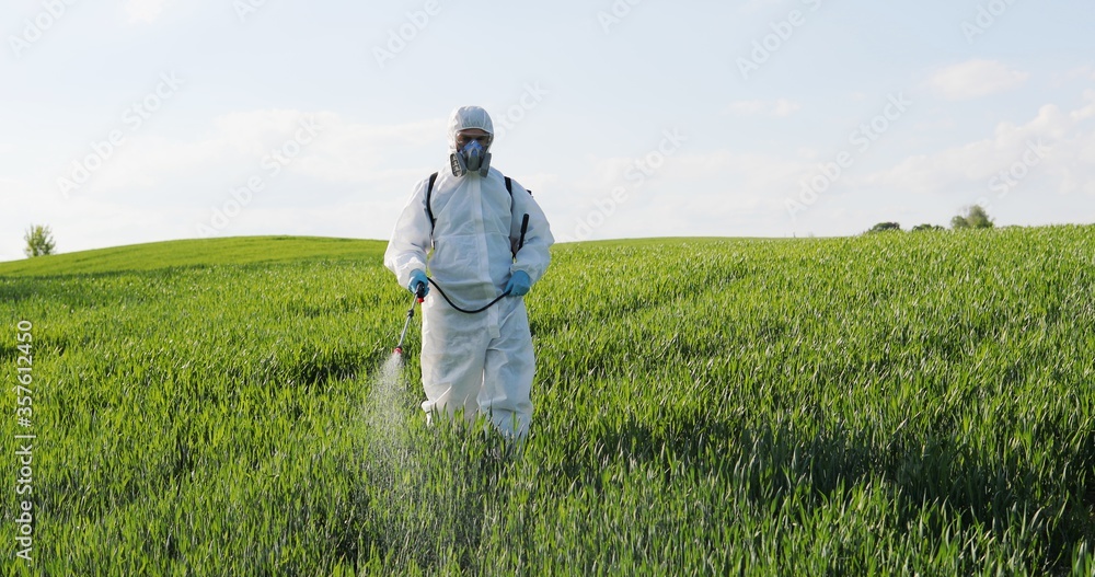 Caucasian male farmer in white protective costume, mask and goggles walking the green field and spraying pesticides with pulverizator. Man fumigating harvest with chemicals. Caucasian male farmer in white protective costume, mask and goggles walking the green field and spraying pesticides with pulverizator. Man fumigating harvest with chemicals.