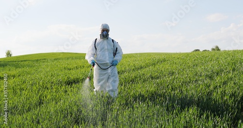Caucasian male farmer in white protective costume, mask and goggles walking the green field and spraying pesticides with pulverizator. Man fumigating harvest with chemicals.