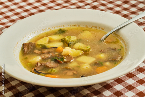 Czech bramboracka soup on plate photo