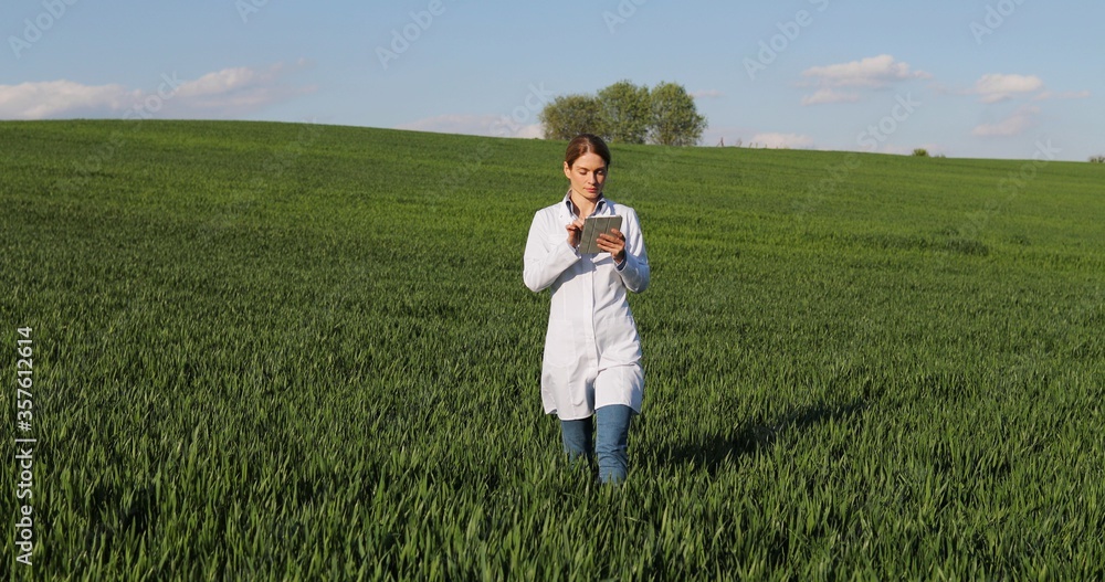 Caucasian beautiful ecologist scientist in white gown walking in green field and using tablet device. Woman researcher, biologist strolling in green harvest and tapping on tablet computer. Caucasian beautiful ecologist scientist in white gown walking in green field and using tablet device. Woman researcher, biologist strolling in green harvest and tapping on tablet computer.