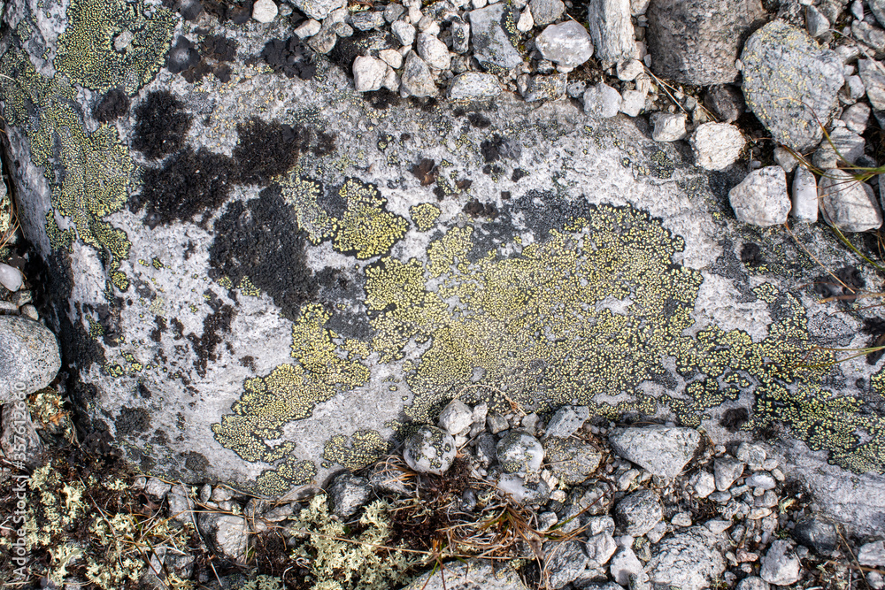 Obraz premium AskenPhoto