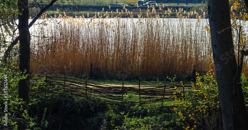 Camping By The Lake In The English Countryside  