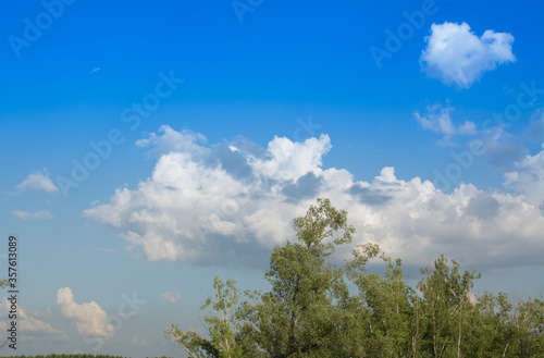 beautiful views of Russian forests in summer and the sky