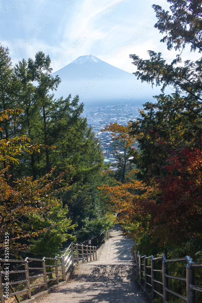 Mount Fuji with Autumn Tree