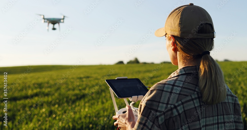 Close up of rear of Caucasian woman farmer in hat standing in green wheat field and controlling of drone which flying above margin. Female using tablet device as controller. Technologies in farming. - obrazy, fototapety, plakaty 