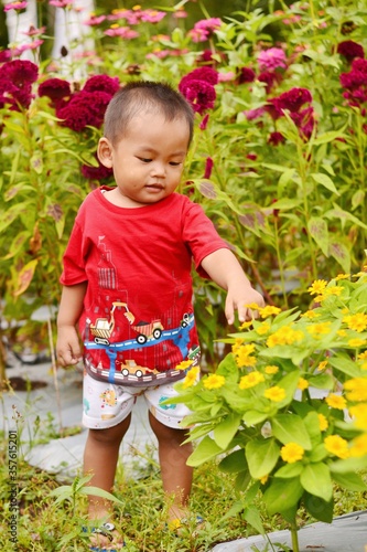 little boy in the garden