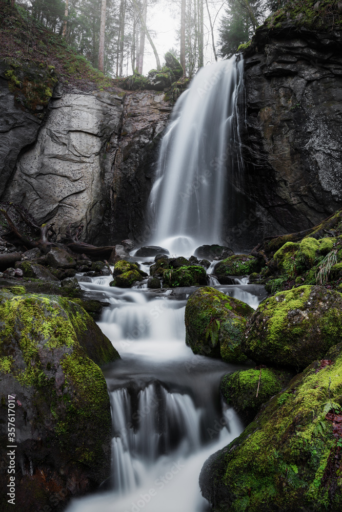 Obraz premium Wodospad w lesie