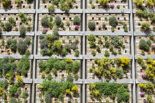 Moderne grüne Architektur und Fassadengestaltung: Gesundes Bauen mit begrünten Fassaden, Pflanzenwänden - ein vertikaler Garten mit blühenden Pflanzen montiert auf einer Aluminium Modulkonstruktion