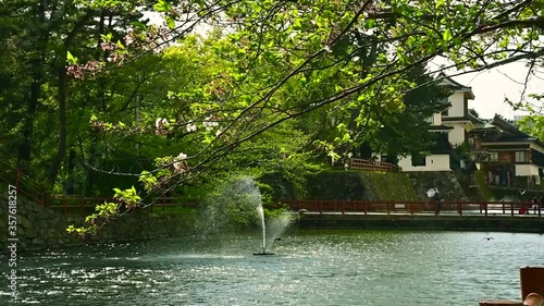 春の勝山公園　小倉城のお濠と桜と飛び交うハト(福岡県）