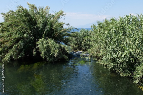 Turkey. Turkish Culture. Sights and nature of Turkey. Sea. The sun. Palms. Beach. Hotel.