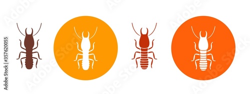 Termite danger sign. Isolated termite on white background