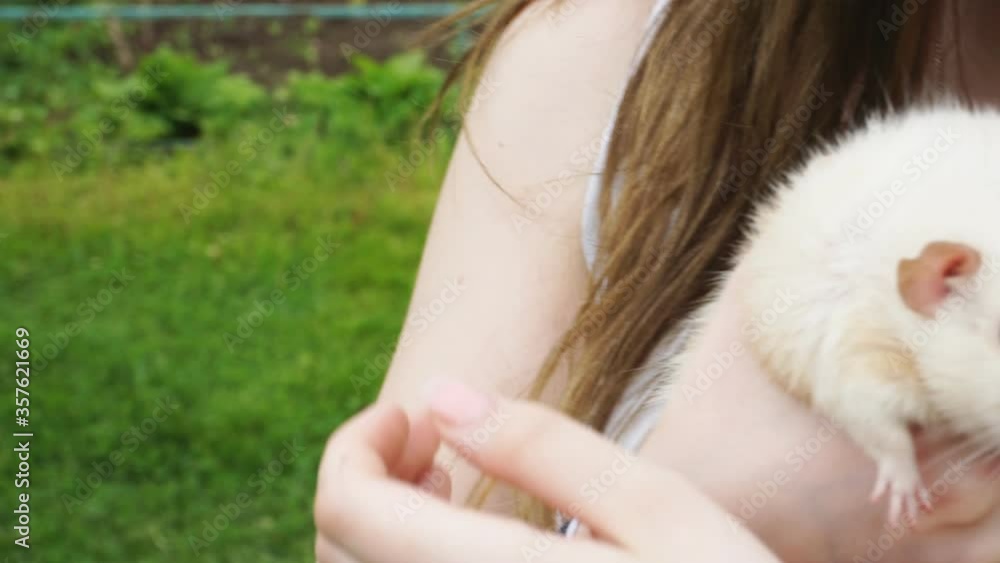 A young girl holds a white rat in her hands. A young girl holds a white rat in her hands.