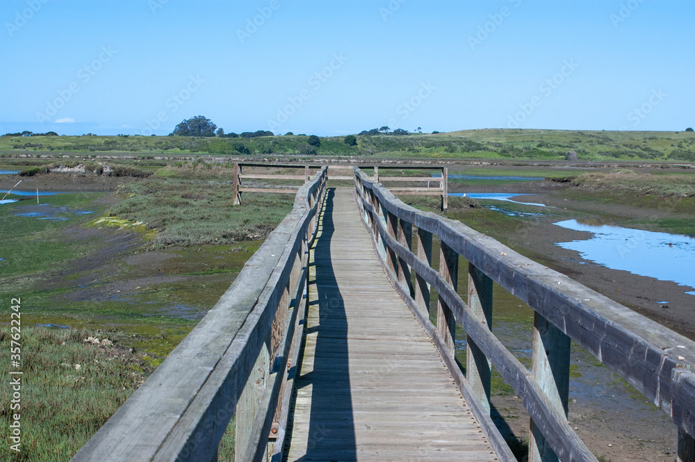 wooden bridge over the marsh