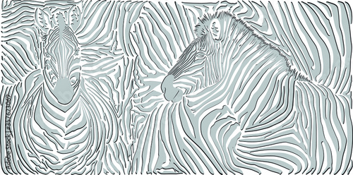 Black and white zebra background skin with heads