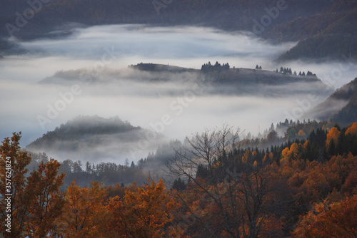 Morning mist in the mountain. Autumn scene. © Gorart