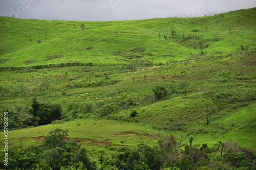 Landscape beautiful wonderland in Sumba Island, Indonesia