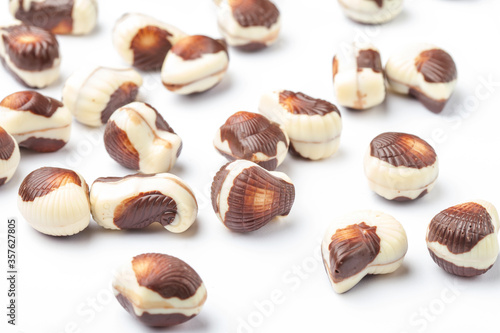 Belgian seashells traditional chocolate candies close-up on a white background