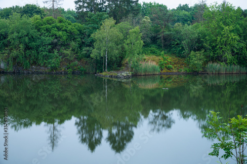 trees are reflected in the smooth water of a lake