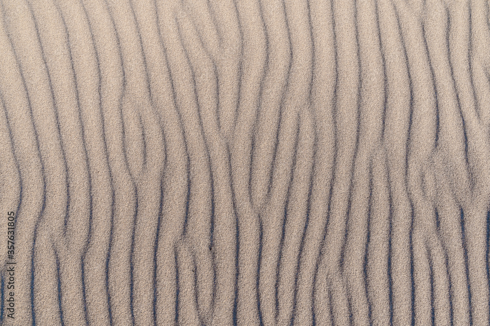 wavy sand on the beach on a sunny day, texture wavy sand on the beach on a sunny day, texture