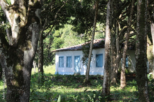 cabin in the woods