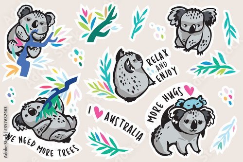 Australian koala animal sticker set. Vector illustration
