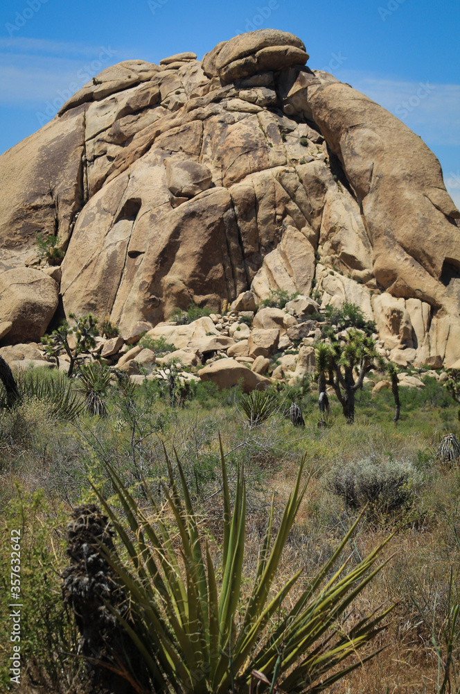 Massive Rock Formation at Joshua Tree National Park, California