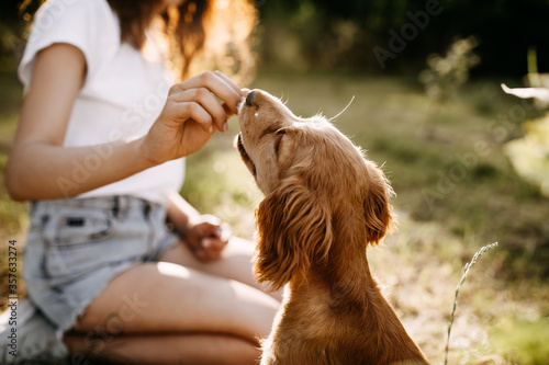 Bilde på lerret Young woman training her little dog, cocker spaniel breed puppy, outdoors, in a park