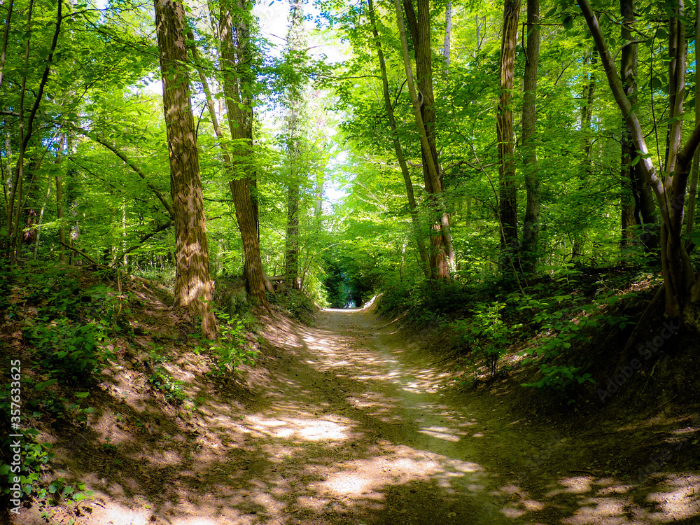 Natur006 Natur006