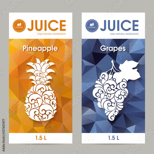 Vector set of templates packaging fruit juice