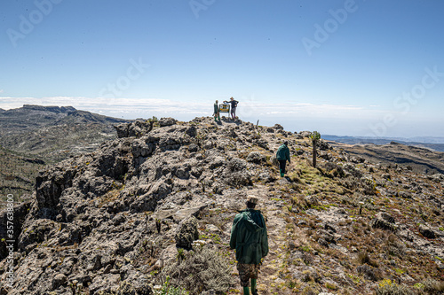 Mount Elgon National Park, Uganda. A rich biodiverse area of protected wildlife used by hikers and protected by rangers. 