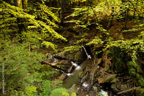 Fototapeta Naklejka Na Ścianę i Meble -  bieszczady