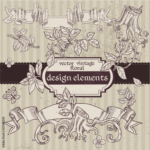Set of vector vintage magic fairytale floral design elements
