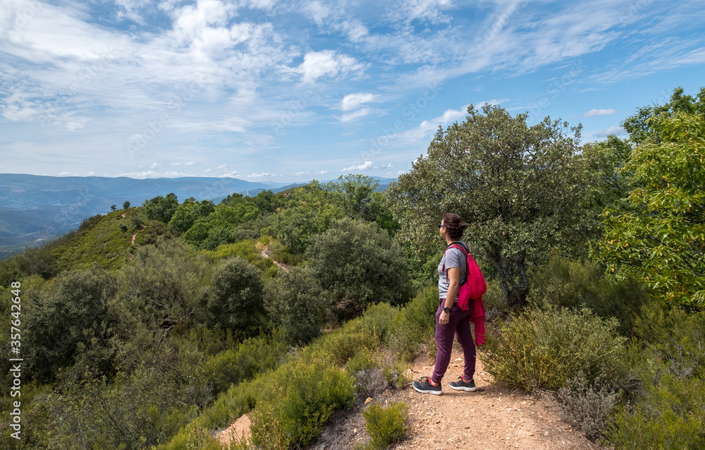 adventure explore woman walking on the path, Sportive woman explore along a meadow road