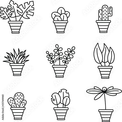 Set of vector outline graphic houseplant icons