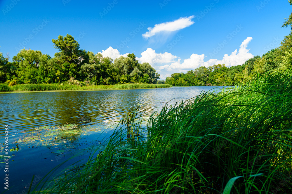 Summer landscape with the green trees and river Summer landscape with the green trees and river