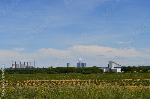 Braunkohle-Kraftwerke am Horizont in der Nähe von Niederaußem am von Dürre geplagten Niederrhein im Sommer 2020 