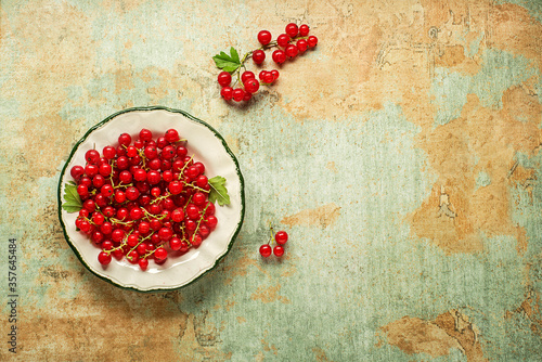 Red currant berry photo