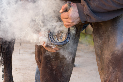 Fényképezés Lots of smoke as farrier checks the size of a new shoe on horse by placing the h