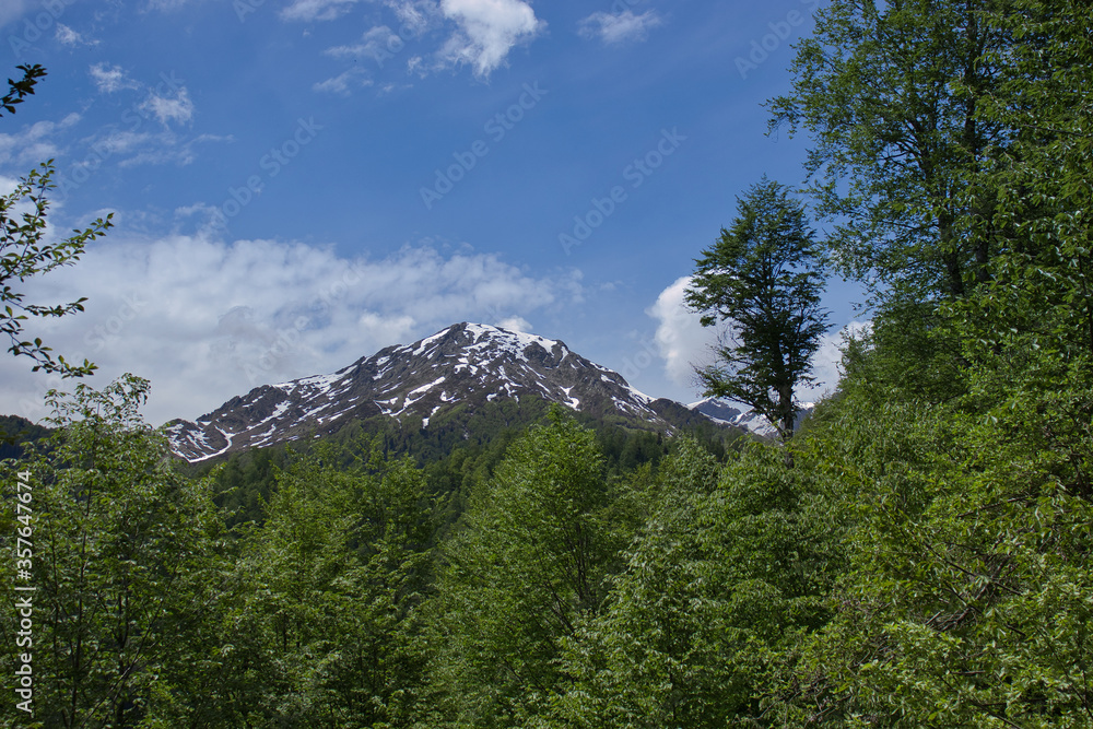 Greater Caucasus Mountains - Goreimi Mountain in Samegrelo Planned National Park, Georgia.