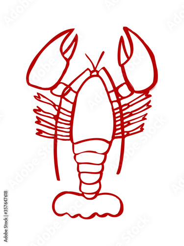 Lobster. Vector illustration. Prepared lobster on white background. Healthy food. Crayfish Flat Icon. Doodle cartoon hand-drawn style. Simple flat design