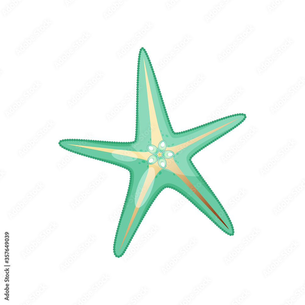 Green golden sea shell stock vector illustration isolated on white background Green golden sea shell stock vector illustration isolated on white background