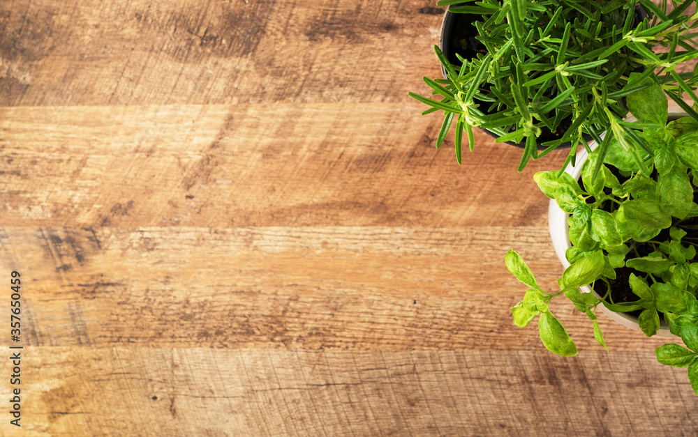 Rosemary and basil on the table. View from above. Rosemary and basil on the table. View from above.