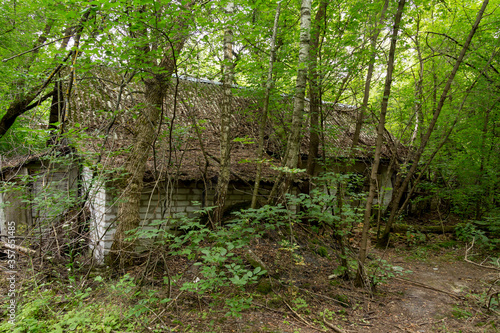 Old abandoned house in the forest