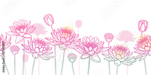 Horizontal seamless pattern with outline Lotos or water lily flower, bud and seed pod in pastel pink on the white background. 