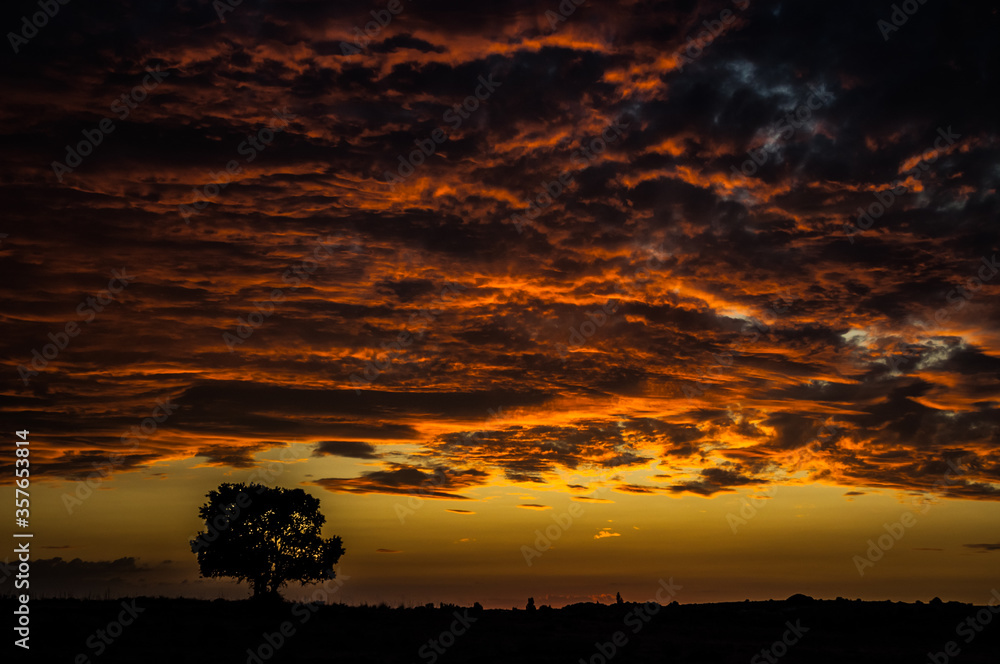 Cielos llenos de colorido Cielos llenos de colorido