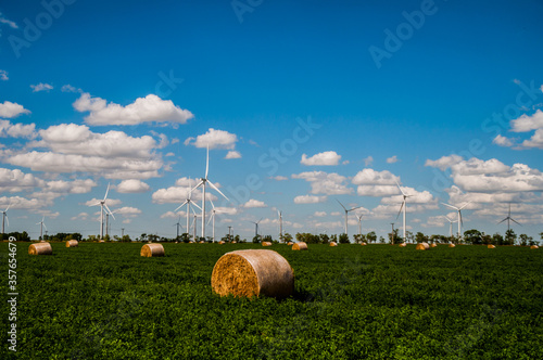 El campo con tonalidades verdes photo