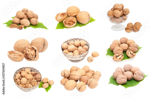 walnuts collection isolated on white background